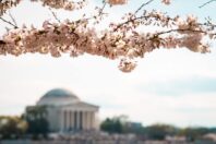 Jefferson Memorial on Memorial Day
