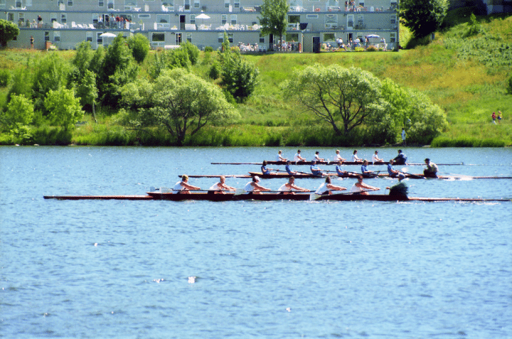 rowers on regatta day