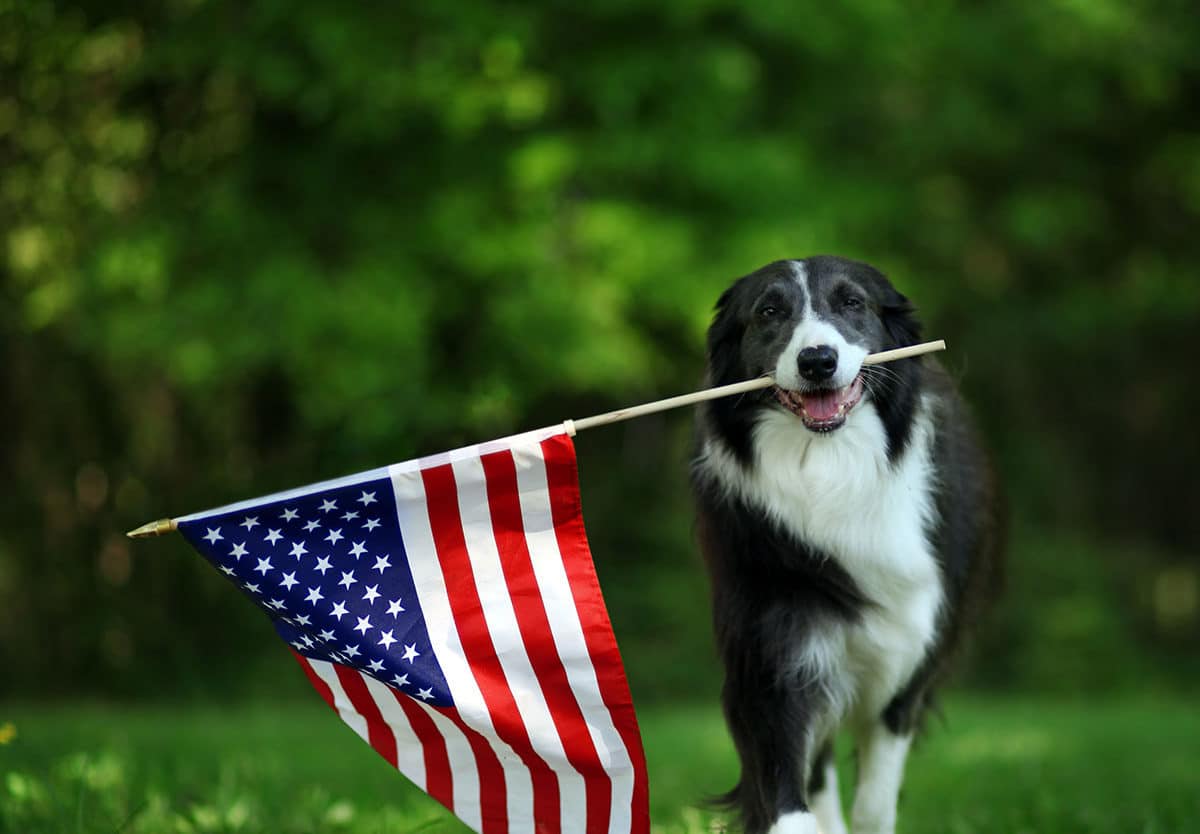Labor Day September 4 2023 Everything You Need To Know About Labor Day