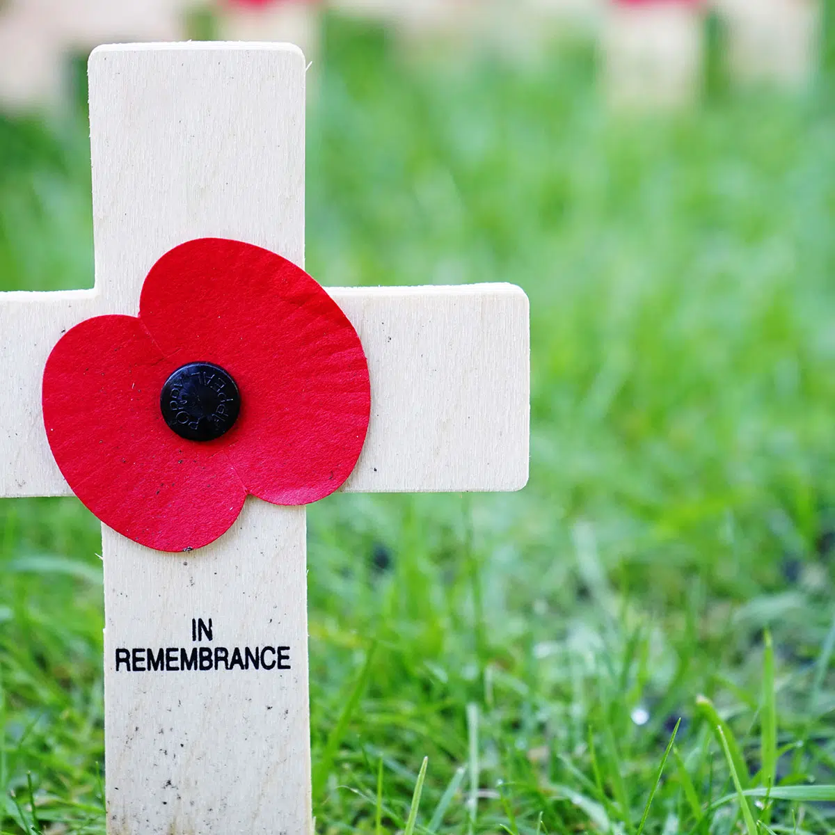 REMEMBRANCE DAY November 11, 2023 National Today