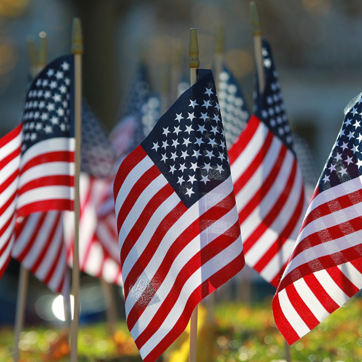 VETERANS DAY - November 11, 2022 - National Today