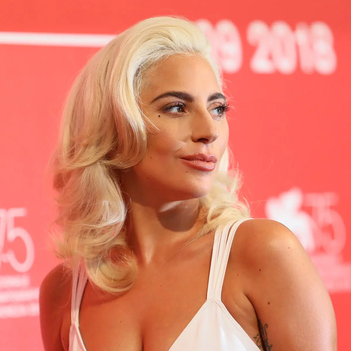 Surprising Things You May Not Know About Lady Gaga