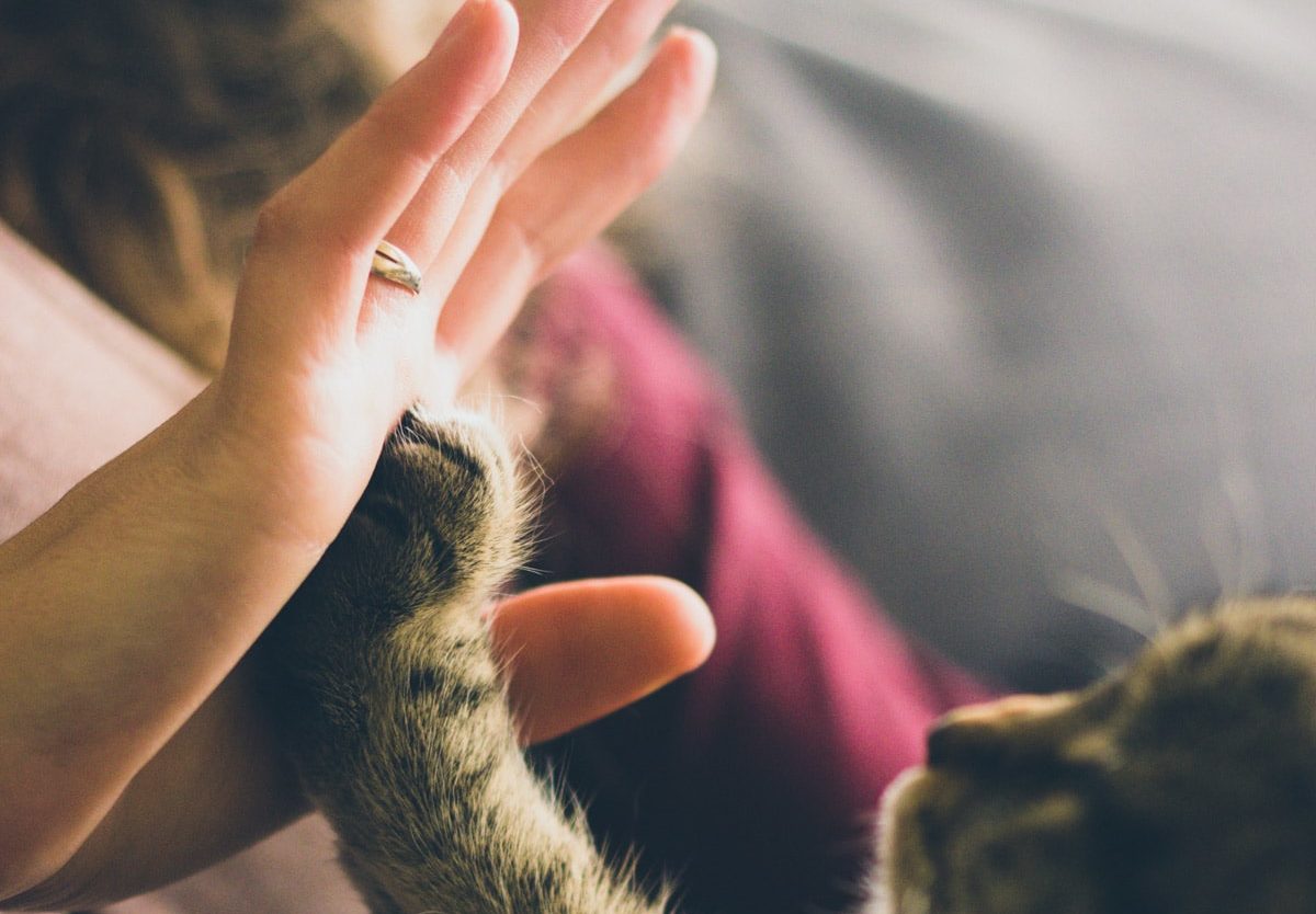 National High Five Day (April 18th, 2024)