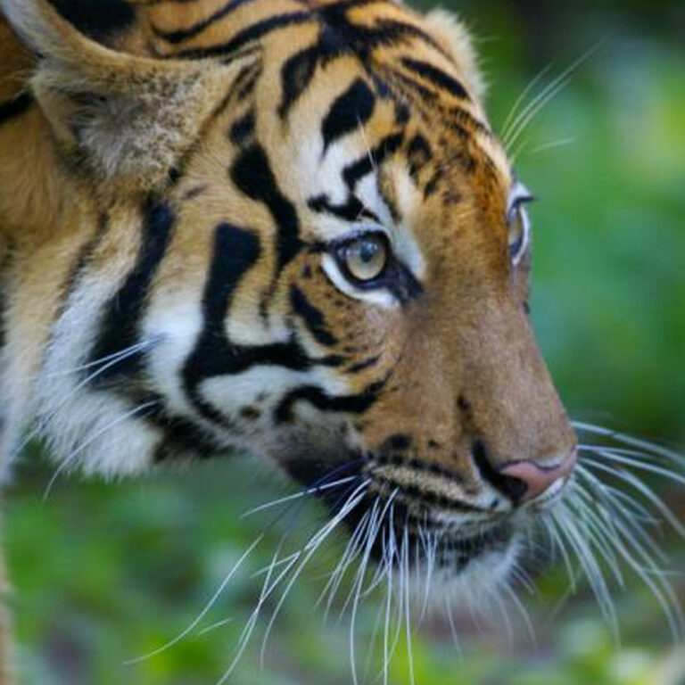 Start a Reservation visual data 4