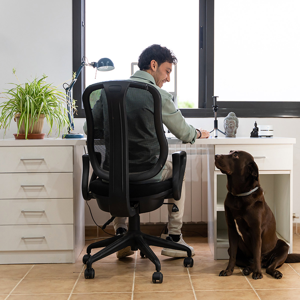 A Job Where You Can Take Your Dog