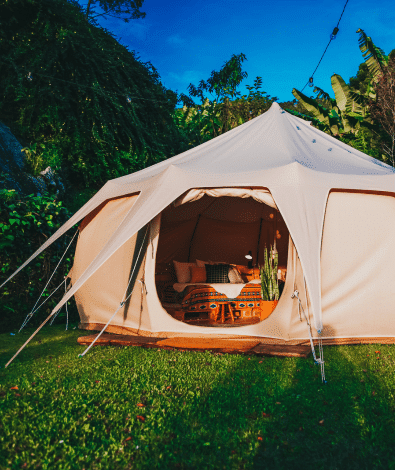 Camp in the backyard