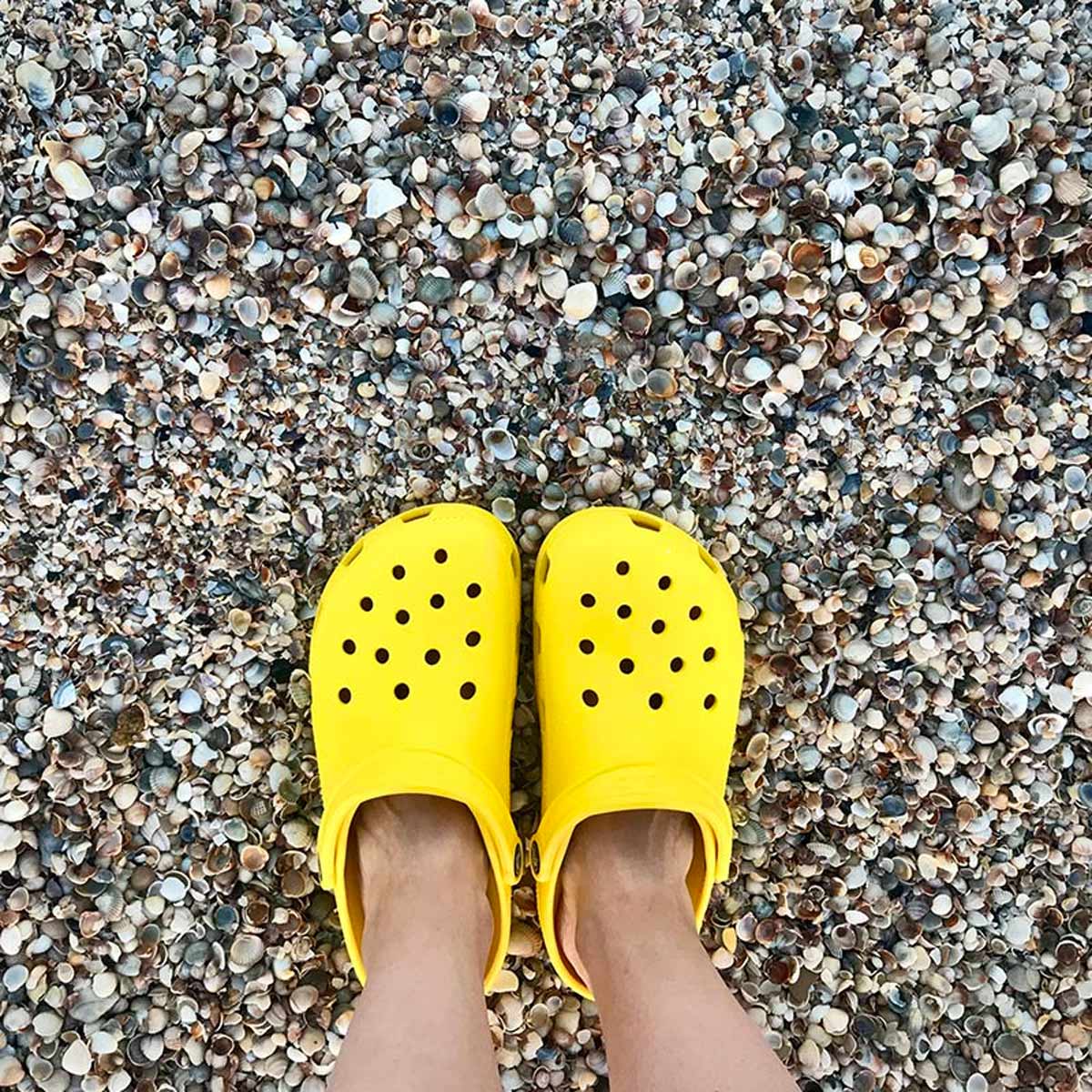 National Croc Day Croc History And Related Holidays