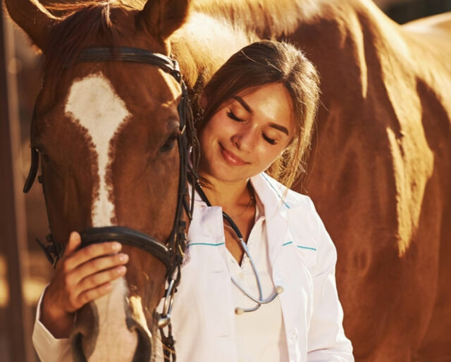NATIONAL HELP A HORSE DAY - April 26, 2023 - National Today NATIONAL HELP A HORSE DAY - April 26, 2023 - National Today