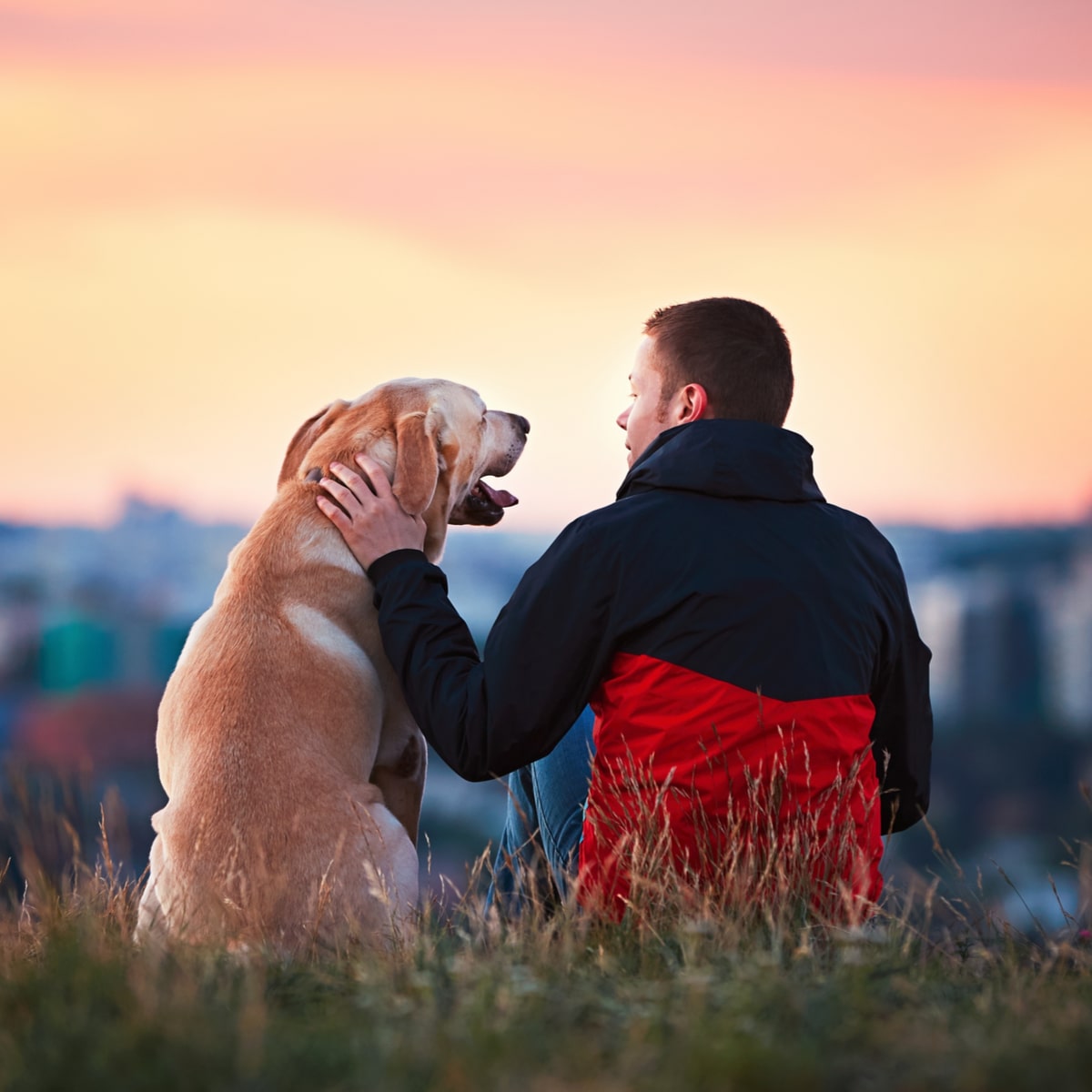 RESPONSIBLE DOG OWNERSHIP DAY September 16, 2023 National Today