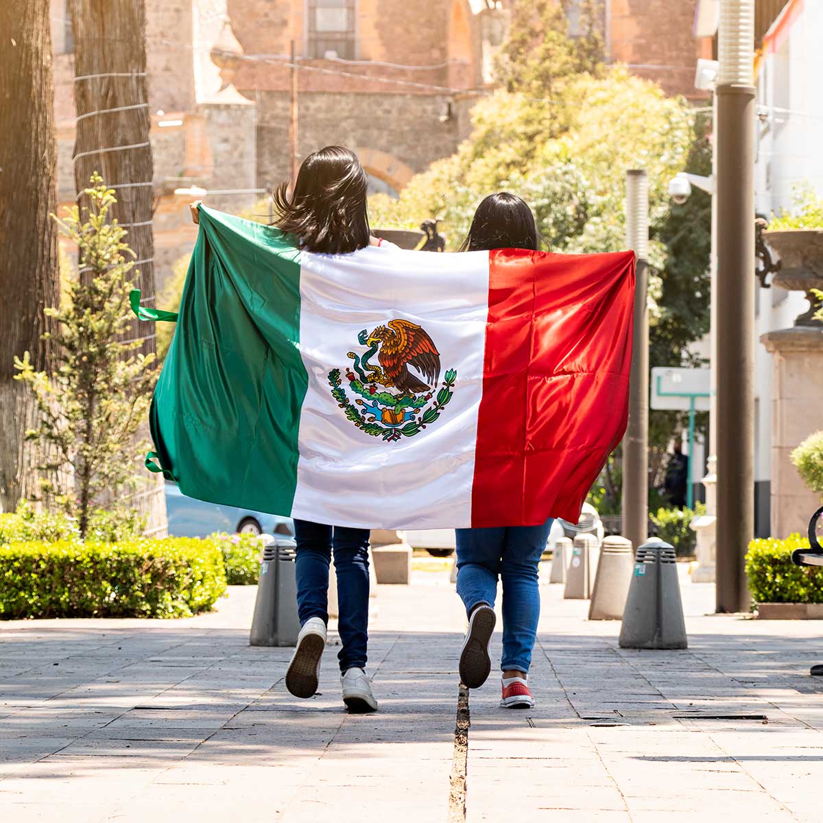 Flag Day Mexico 