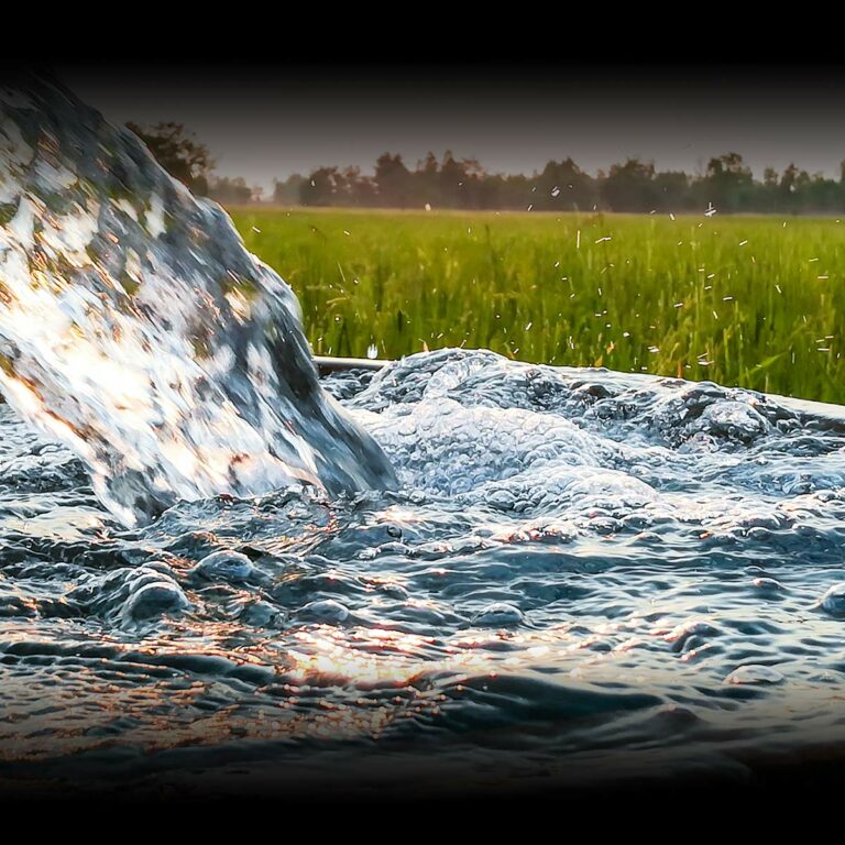 STOP BAD SERVICE DAY March 6, 2024 National Today