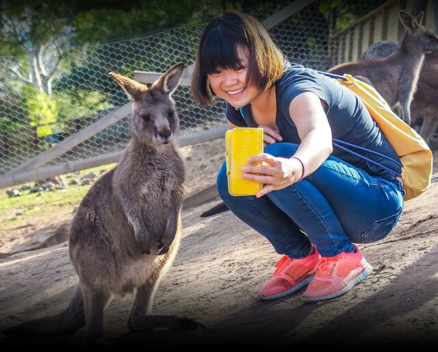 NATIONAL ZOO LOVERS DAY - April 8, 2023 - National Today NATIONAL ZOO LOVERS DAY - April 8, 2023 - National Today