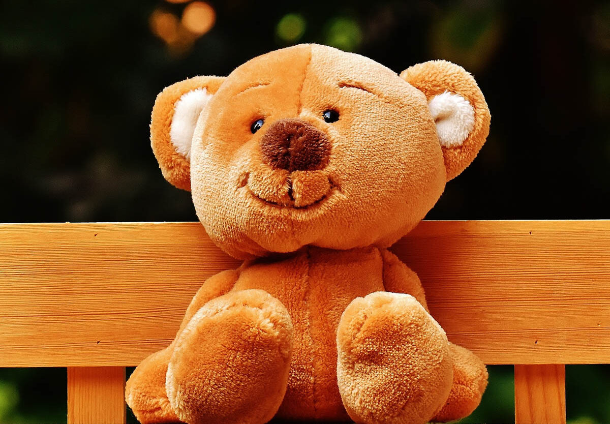 National Teddy Bear … - Shawn Beverlie