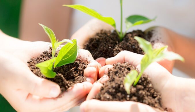 World Pollution Prevention Day