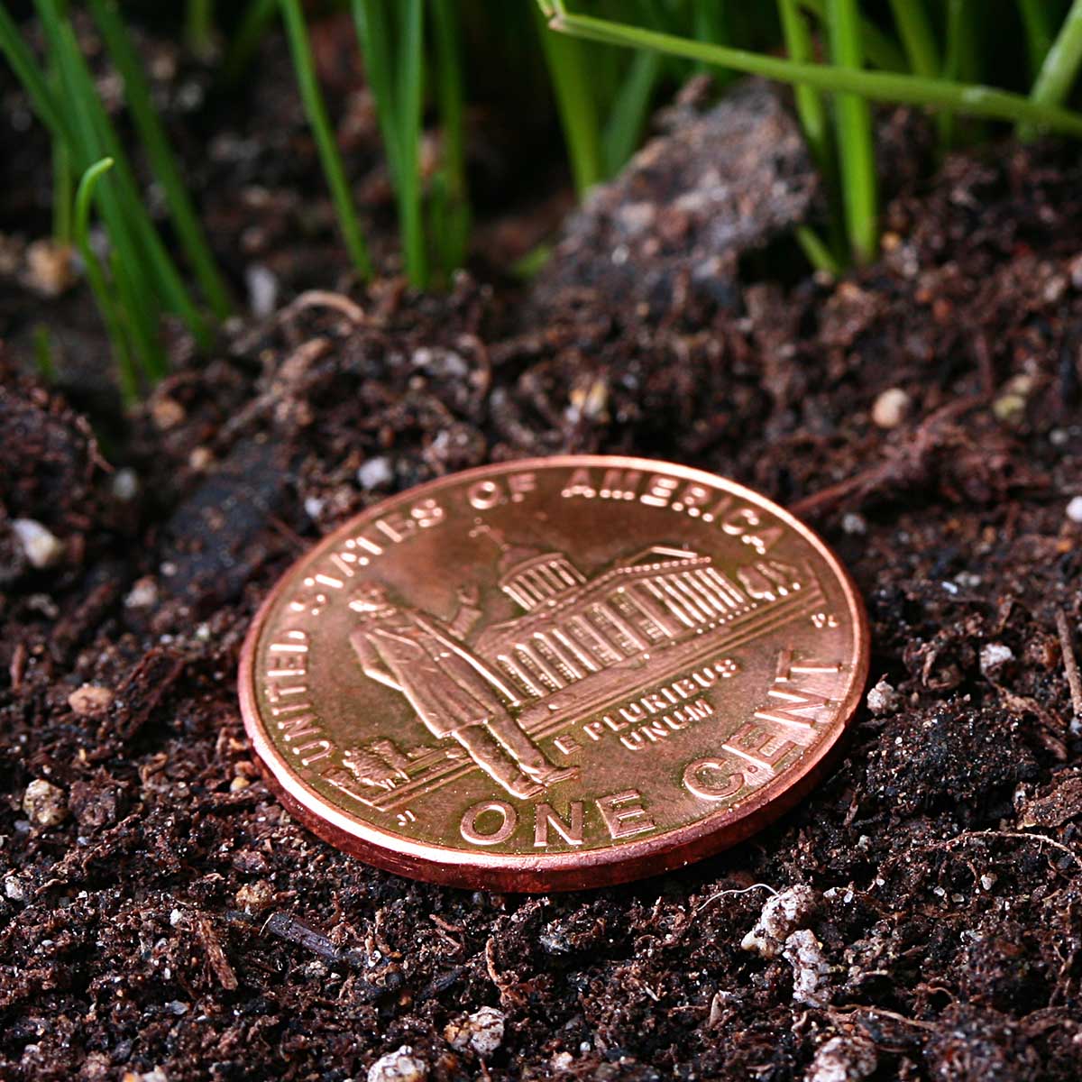 NATIONAL LOST PENNY DAY February 12 2023 National Today
