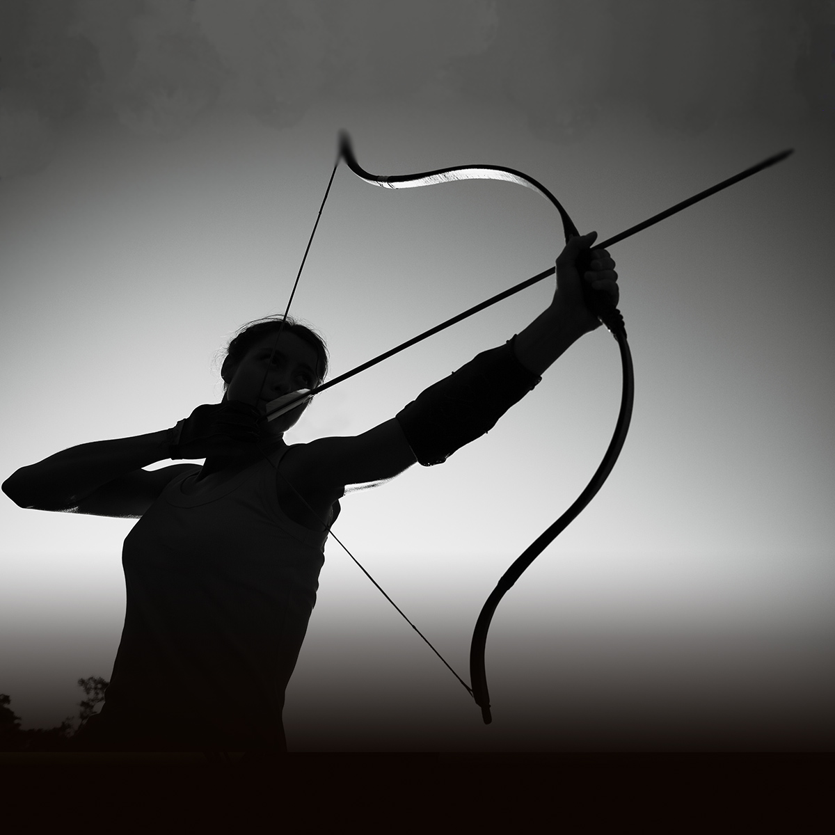 Mike's Archery Cheapest Buying, Save 69 jlcatj.gob.mx