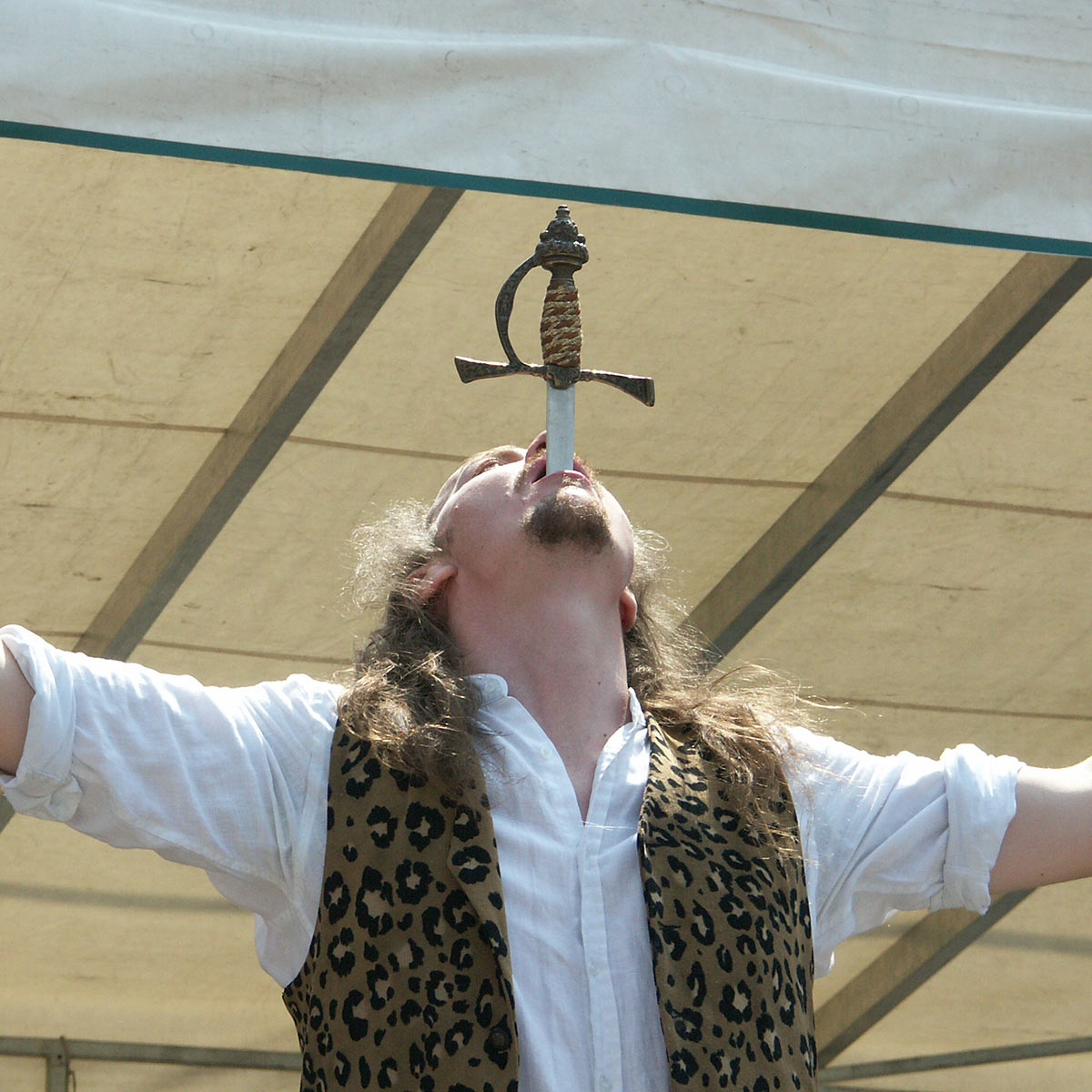 INTERNATIONAL SWORD SWALLOWERS DAY February 24 2024 National Today