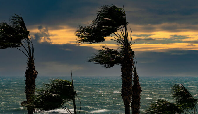 National Big Wind Day