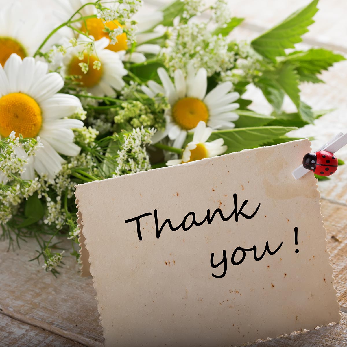 NATIONAL THANK YOU MONTH -January 2024 - National Today