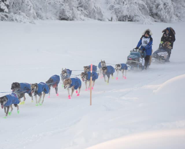 yukon-quest-february-4-2023-national-today