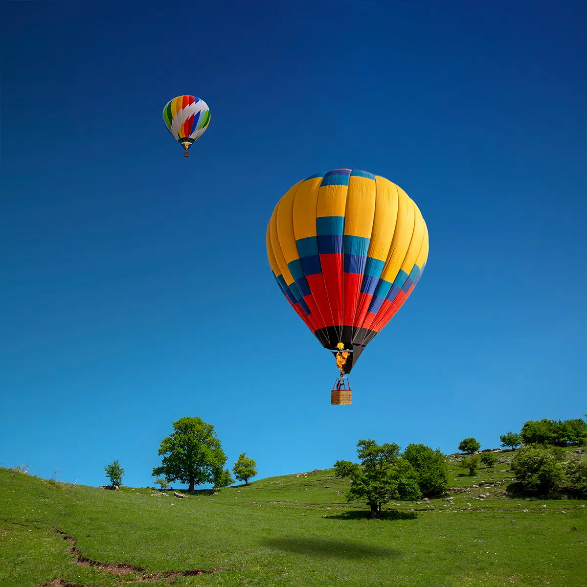 Air Optix Colors online purchase options