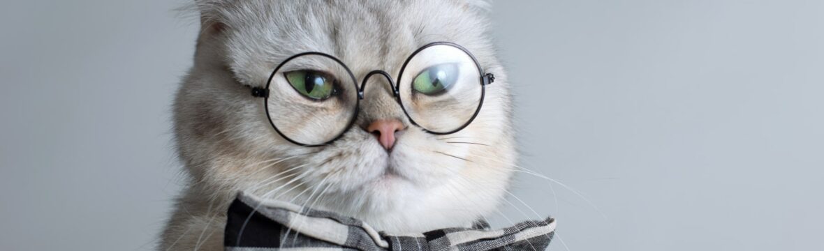 Find Your Inner Nerd Day Official