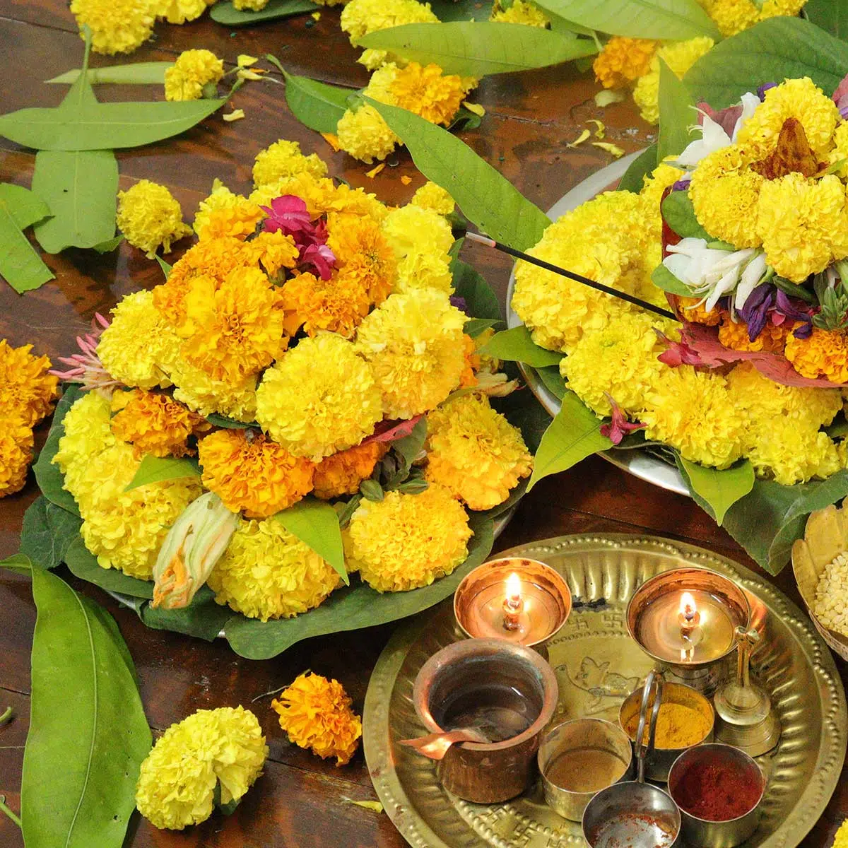 bathukamma-flowers-names-list-in-telugu-home-alqu