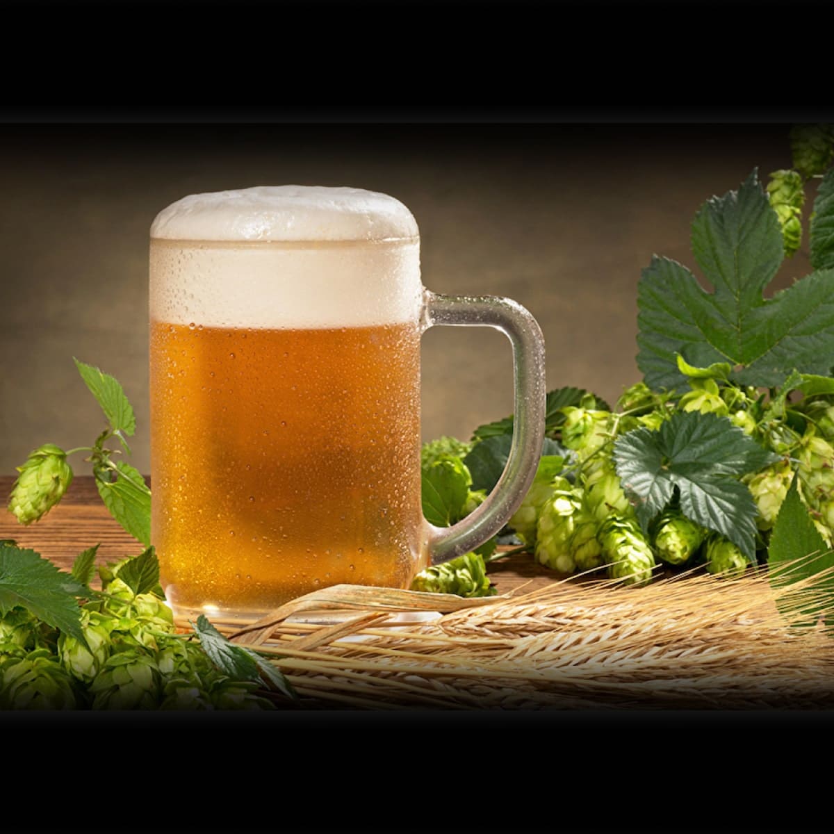 India Pale Ale Day August 3 2023 History Observations Ideas 
