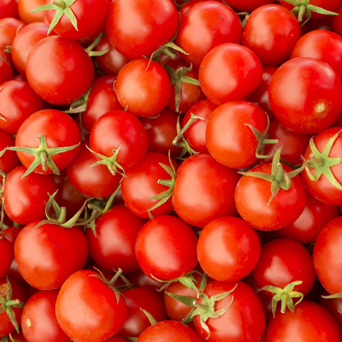 BRITISH TOMATO FORTNIGHT May 20 June 2 2024 National Today