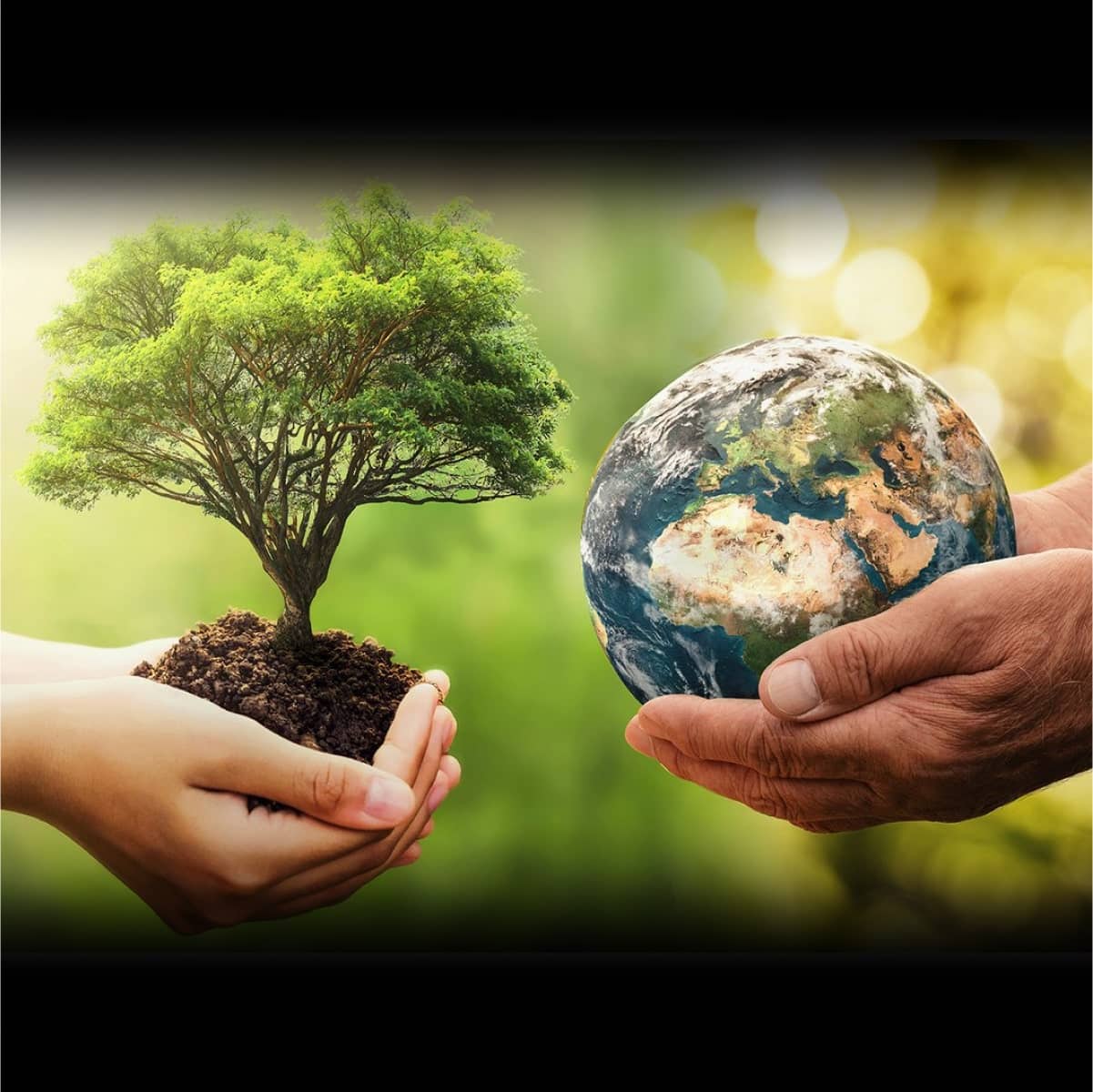 Earth Day 2023 AileanPascoe