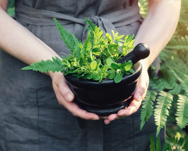 NATIONAL HERB DAY May 6, 2023 National Today