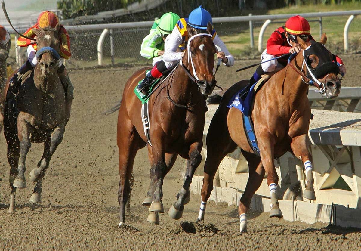 PREAKNESS STAKES May 16 2026 National Today