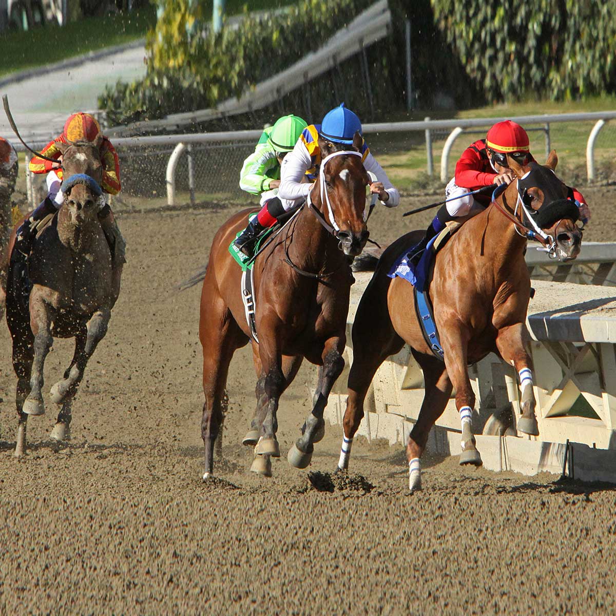 PREAKNESS STAKES May 18 2024 National Today
