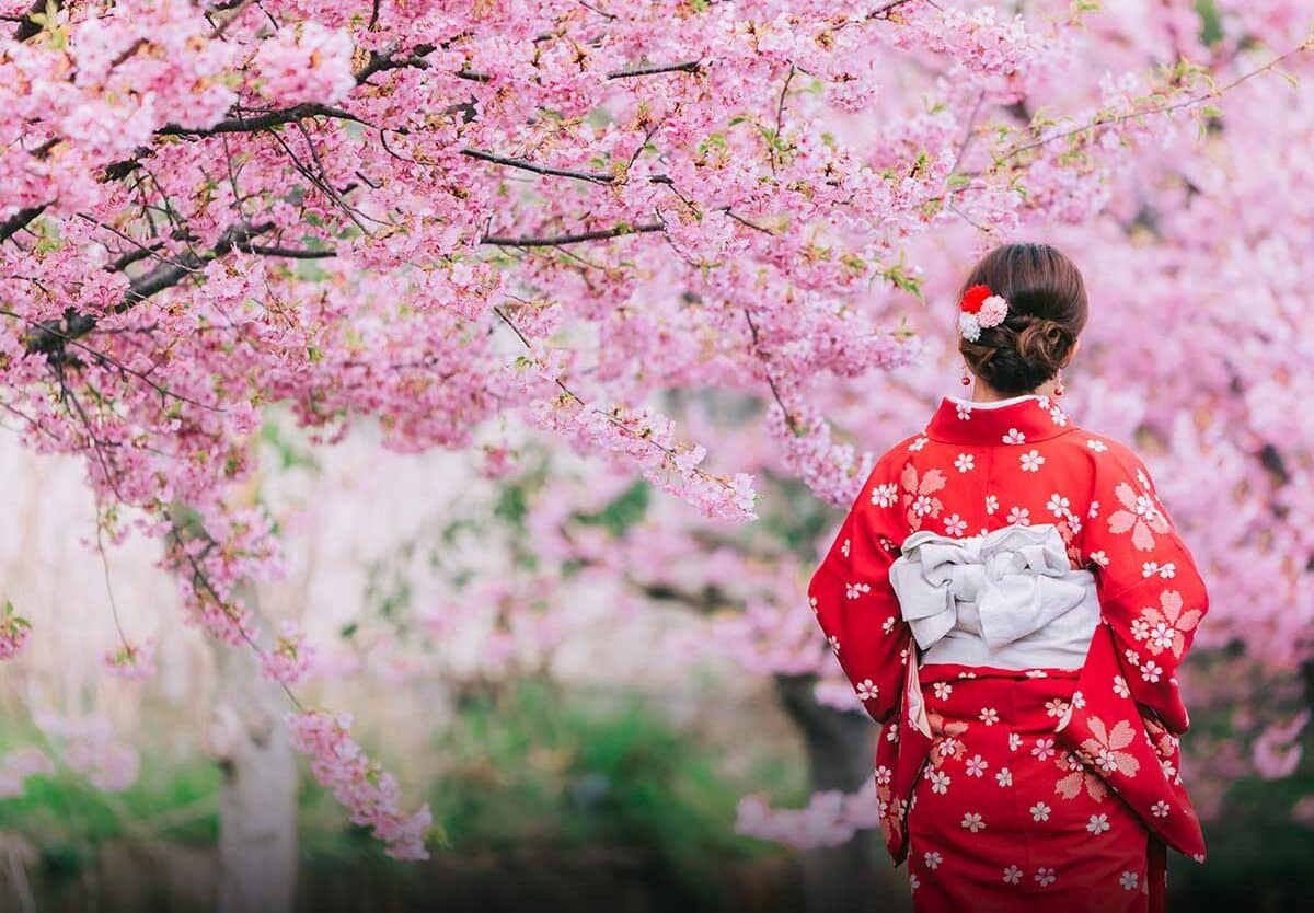 NATIONAL CHERRY BLOSSOM FESTIVAL March 20 April 14 2025 National 