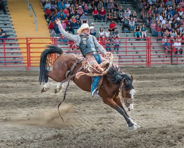 NORTH DAKOTA WINTER SHOW March 17, 2023 National Today