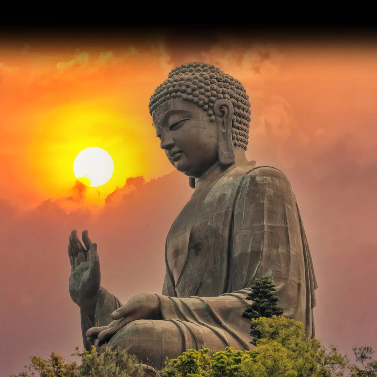 Vesak 2023: Honoring the Buddha Within