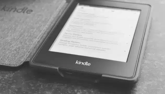 Best Kindle Paperwhite Case