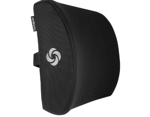 Samsonite Support Pillow