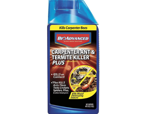 BioAdvanced Carpenter Ant and Termite Killer Plus