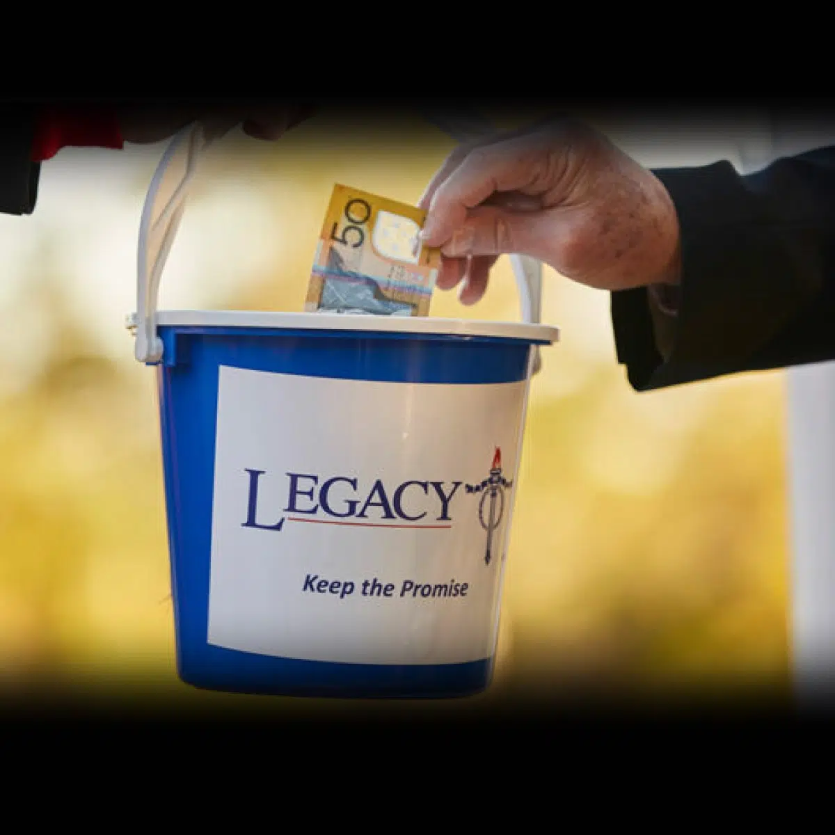 NATIONAL PET ROCK DAY September 1, 2024 National Today