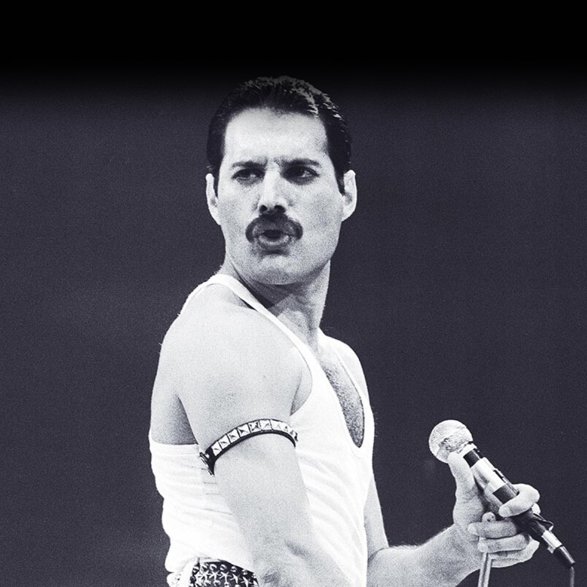Freddie Mercury Zodiac Sign 60 Photos Astrologytoyou Freddie Mercury Zodiac Sign 60 Photos Astrologytoyou