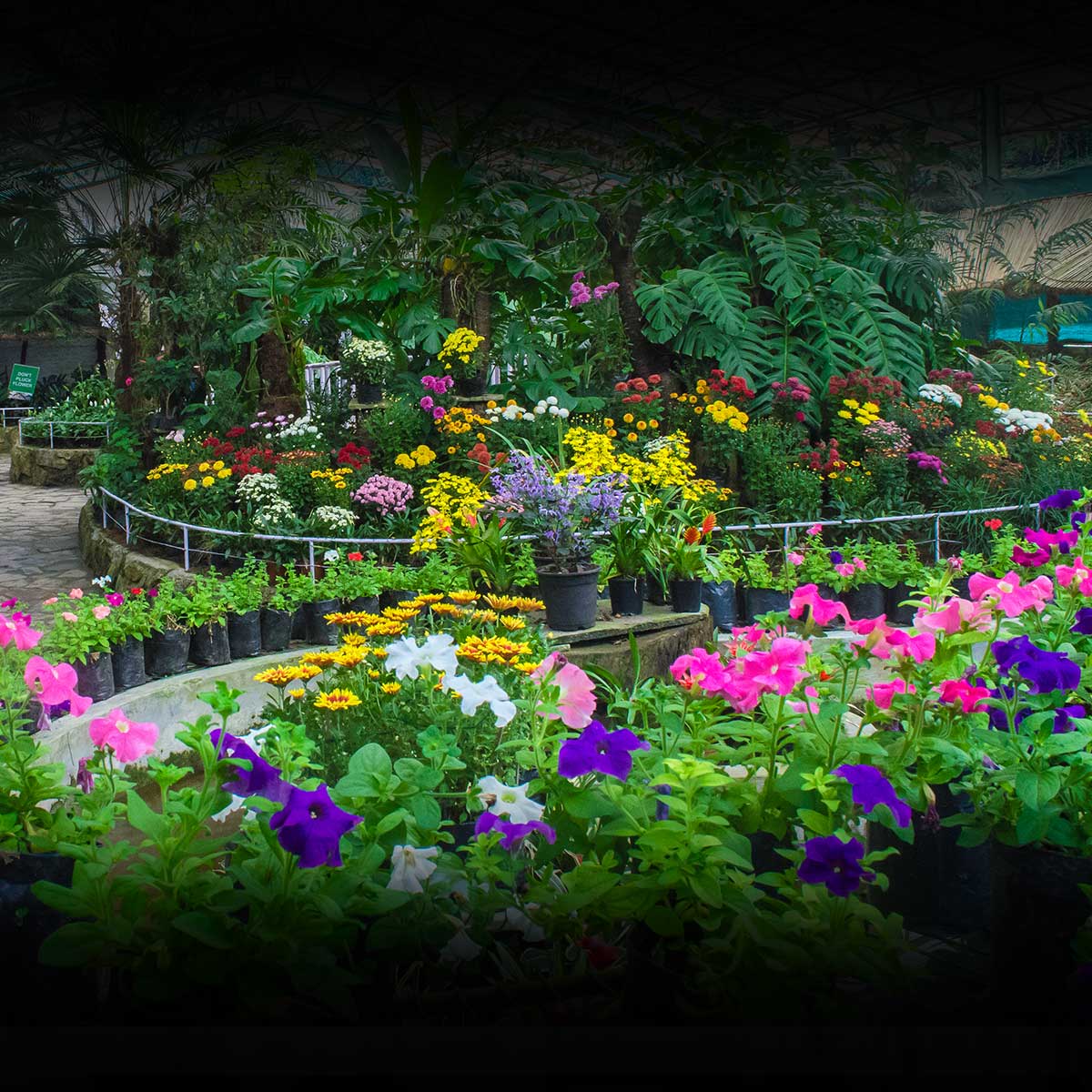INDIANA FLOWER AND PATIO SHOW March 11 19 2023 National Today