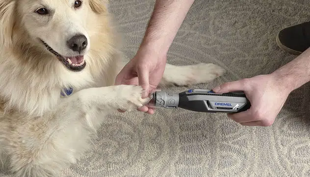 can you use a regular dremel on dog nails