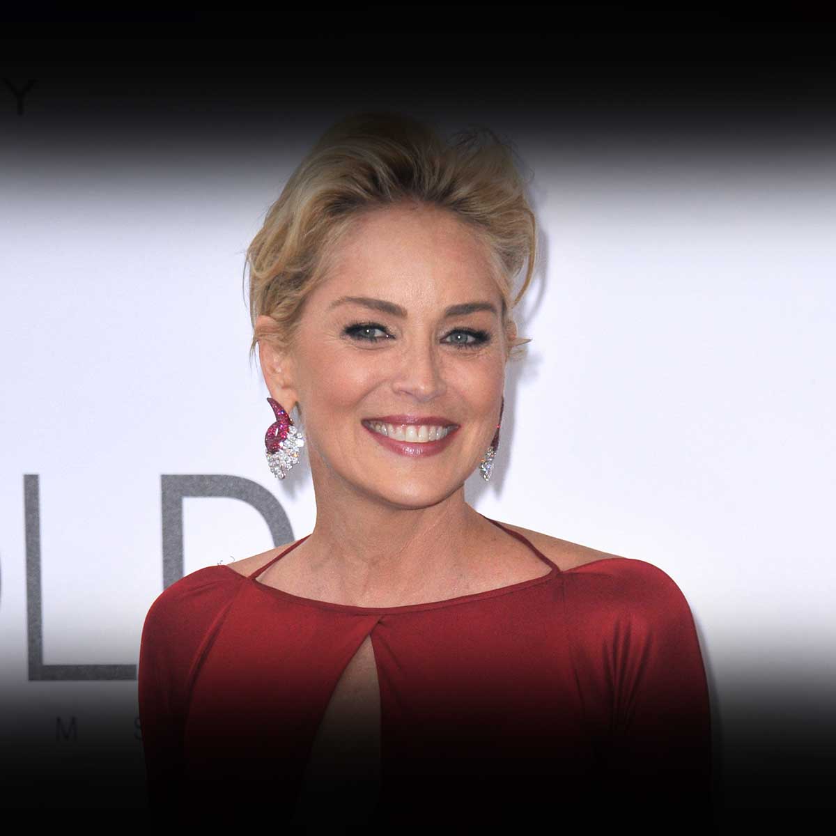 Sharon Stone Age 2024 - Anita Breanne