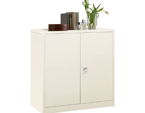 Greenvelly Metal Storage Cabinet