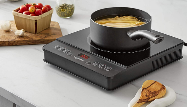 best rated portable induction cooktop