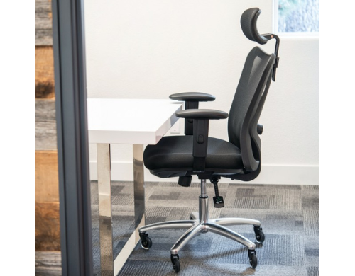 Duramont Ergonomic Office Chair -