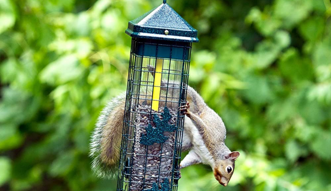 good bird feeders