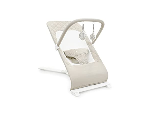 Baby Delight Alpine Deluxe Portable Bouncer