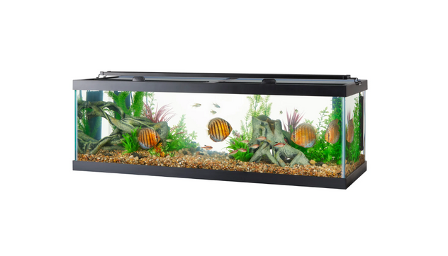 GloFish 20 Gallon Aquarium Kit with LED Lights, Decor Heater and Filter